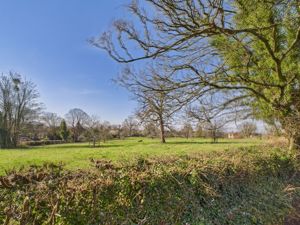 View to Front- click for photo gallery